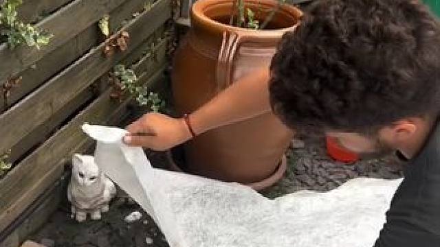 庭院人工草坪制作铺设。 #能工巧匠 #匠心制作 #庭院草坪 #园林绿化工程 #省时省力效率高