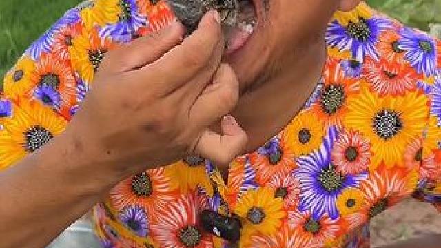 香米饭辣汤️咖喱炖蛋蛋蛙 #泰国美食 #美食 #泰国生活 #户外美食