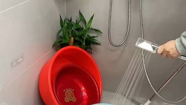 小狗挂钩 这款#吸盘脸盆挂钩 真不错，免打孔上墙，全家的脸盆都能上墙收纳不占地方，大号脸盆也没问题，