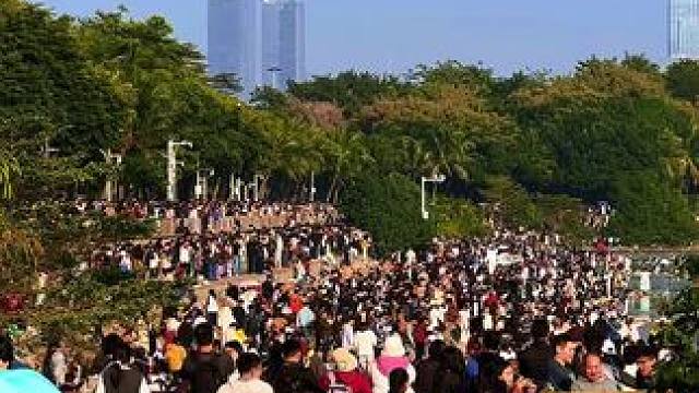 看海鸥的人比海鸥还多#我的旅行日记 #深圳湾 #人山人海太热闹了 #海鸥