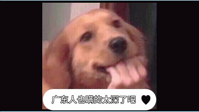 广东温泉的含金量还在上升
#三英五星级温泉