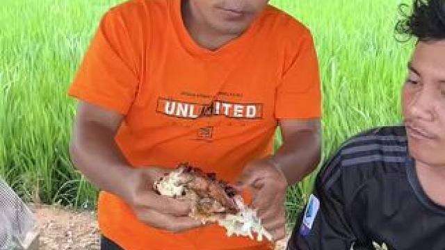 东南亚乡村美食 #农村美食#东南亚美食#乡村美食#烤乳猪