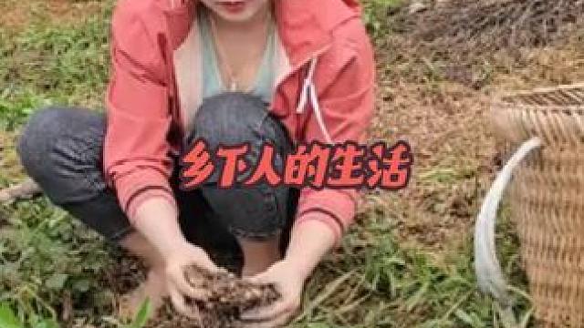 #我的乡村生活 #农村生活 #三农#美女