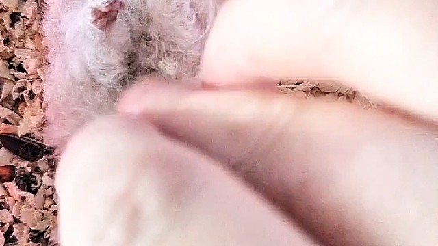 这一天你会接受不了的！