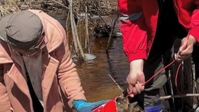 #户外捕鱼 #好多鱼