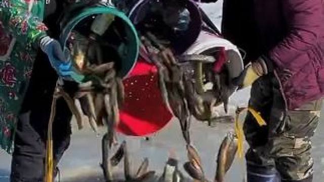 #户外捕鱼 #好多鱼