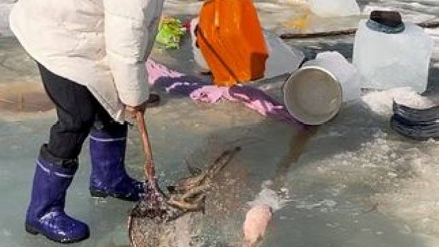 #户外捕鱼 #好多鱼