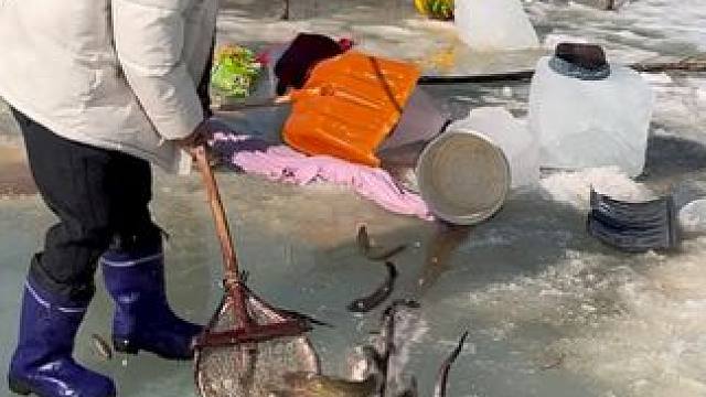 #户外捕鱼 #好多鱼