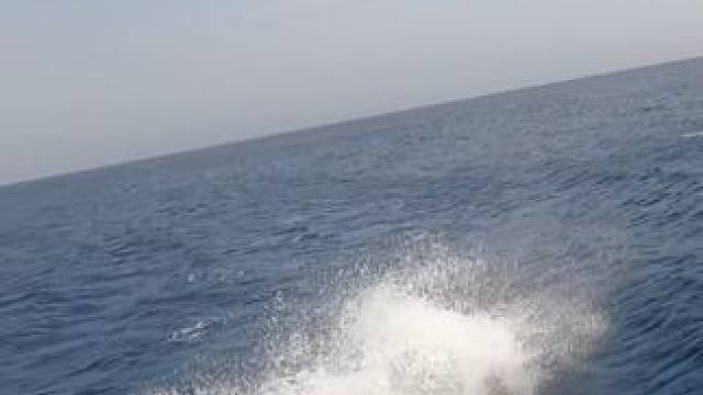 #这鱼哪个钓友看了不羡慕 #12月的鱼应该怎么钓 #海钓