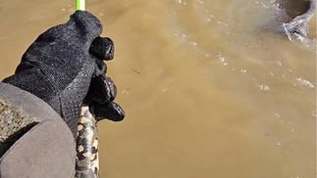 #这鱼哪个钓友看了不羡慕 #12月的鱼应该怎么钓 #每个钓鱼人都有个百斤