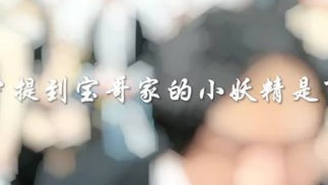 陈伯谈宝哥旗下小妖精是可遇不可求的 #陈伯全能王 #内容启发搜索