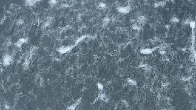 粘毛器 神奇的粘毛器!不仅能轻松清理头发和猫猫狗狗掉落的毛发，水一冲就干净能继续用了 #粘毛神器  