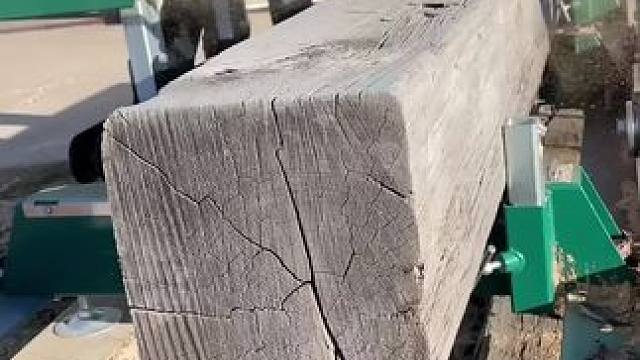 美丽的一块木材。诞生于近500年前，毁于100多年前。 根据年轮测算，这棵树年龄为259年，总树龄可