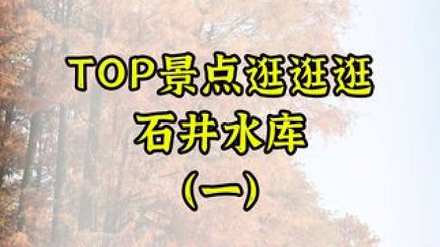 据说这是属于绍兴人自己的阿勒泰 落羽红叶是冬日赠我们的信笺#红杉树 #治愈系风景 #落羽杉 #绍兴#
