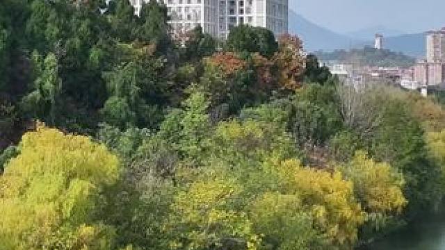 今天还是冬日暖阳，天气预报明后两天大降温还要下雪这会吗？ #天气晴朗阳光明媚 #故乡的原风景 #随手