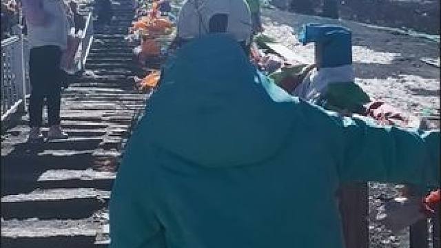 去时像乐狗，到了冻成狗