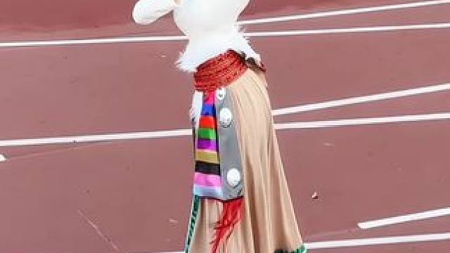 今天又来洗衣服了#民族舞 #藏族舞 #洗衣歌踩点舞