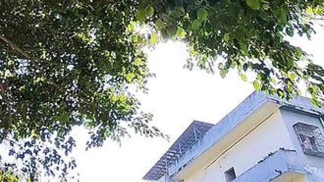 活了这么多年 终于明白为啥不招人喜欢 因为不够虚伪 嘴不够甜 更不会恶意奉承 现实的社会 现实的人心