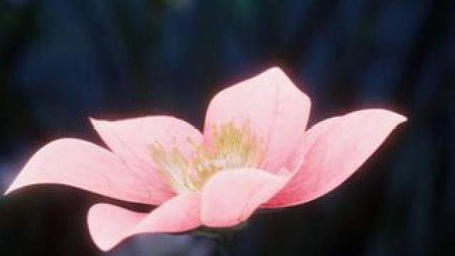 可是遗憾是人间常态。#诛仙世界 #诛仙世界1219公测 #诛仙世界预下载开启  #诛仙世界攻略 #诛