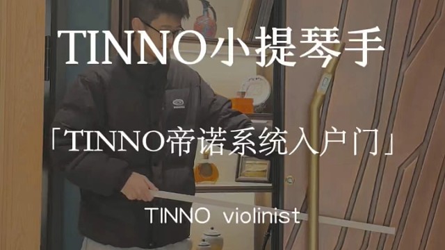 TINNO小提琴手#TINNO帝诺系统入户门 #系统门 #上海 #系统门