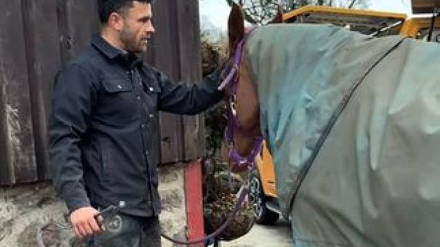 国外小伙修马蹄 #国外视频分享 #马到成功见者好运 #修马蹄