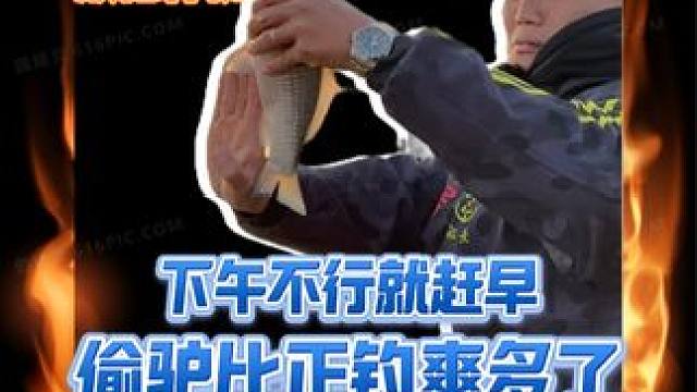 不是正钓玩不起，而是偷驴更有性价比啊！还要啥自行车 #黑坑鲫鱼 #鲫鱼饵料 #船长浮漂 #汉坤超竞技