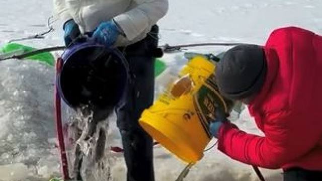 #户外捕鱼 #好多鱼