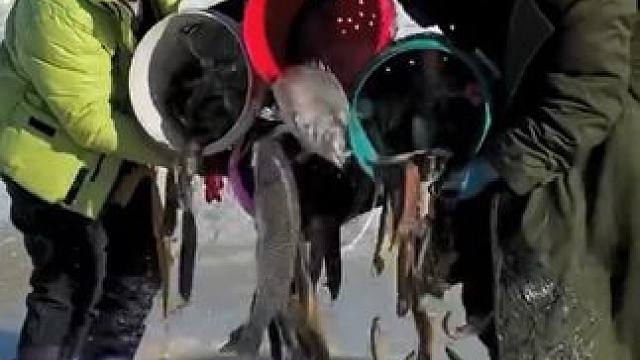 #户外捕鱼 #好多鱼