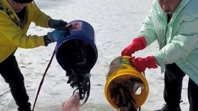 #户外捕鱼 #好多鱼