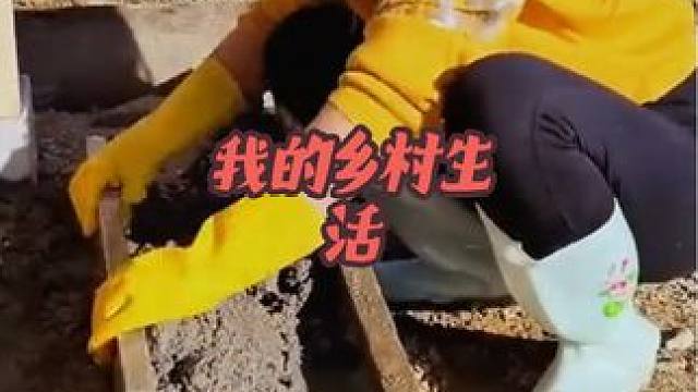 #荒野建造 #我的乡村生活 #三农 #美女