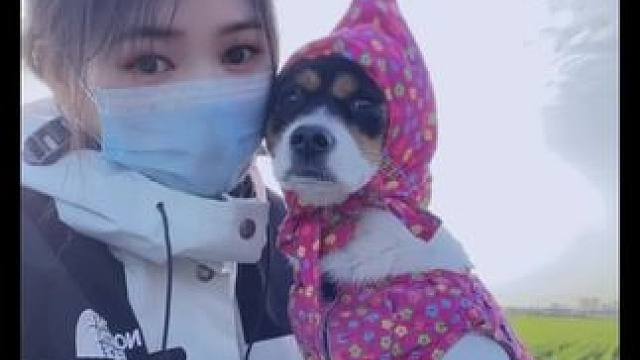 我在地头看日出
各位在哪里看……#农村小土狗 #回家过年  #河南 #乡愁记忆 #农村生活