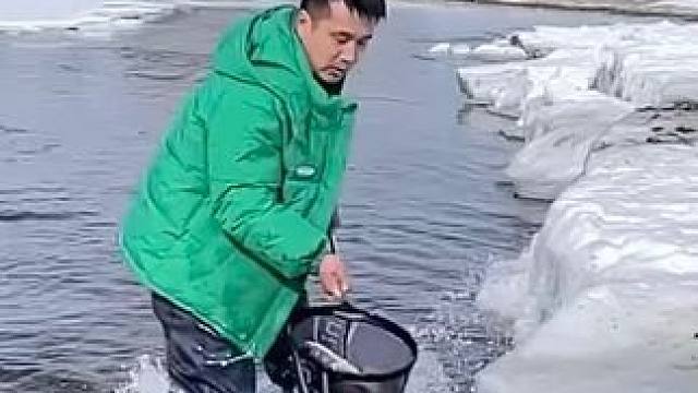 #户外捕鱼 #好大一条鱼