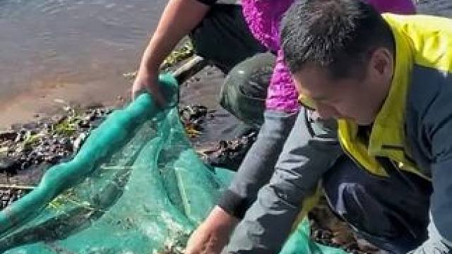 #户外捕鱼 #好多鱼