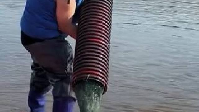 #户外捕鱼 #好多鱼