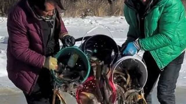 #户外捕鱼 #好多鱼