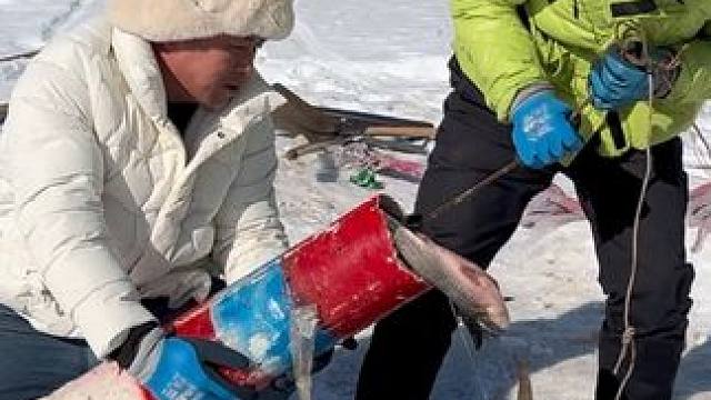 #户外捕鱼 #好多鱼