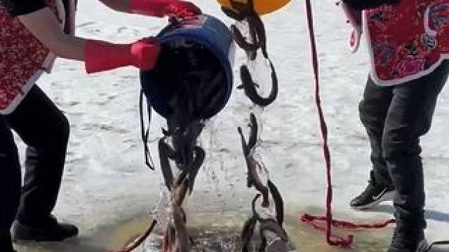 #户外捕鱼 #好多鱼