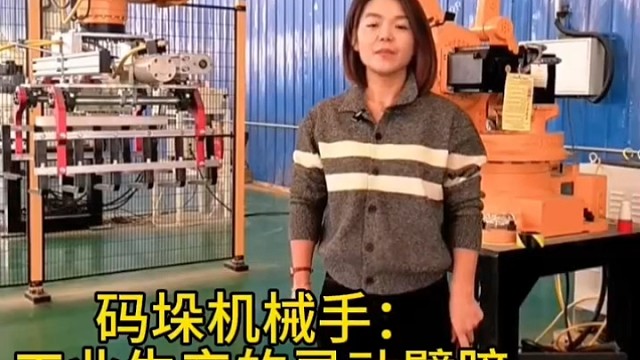 码垛机械手：工业生产的灵动臂膀，码垛机机器人-全自动码垛-操作简单#码垛机器人 #高速机械手 #全自