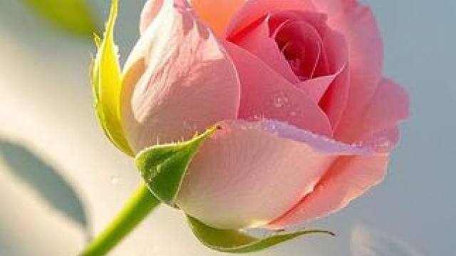 国际幼儿园都在玩的竞赛积木，39块积木能拼出100种造型，充分发挥想象力和创造力#积木 #儿童益智 