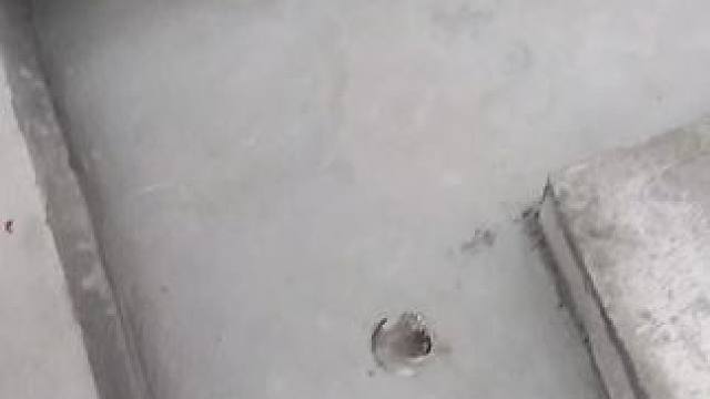 天沟整体现浇完成#天沟檐线一体现浇视频 #房檐排水沟u型槽