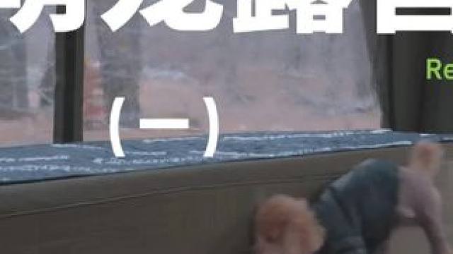 萌宠露营（一）#露营 #助眠 #解压 #萌宠 #户外露营