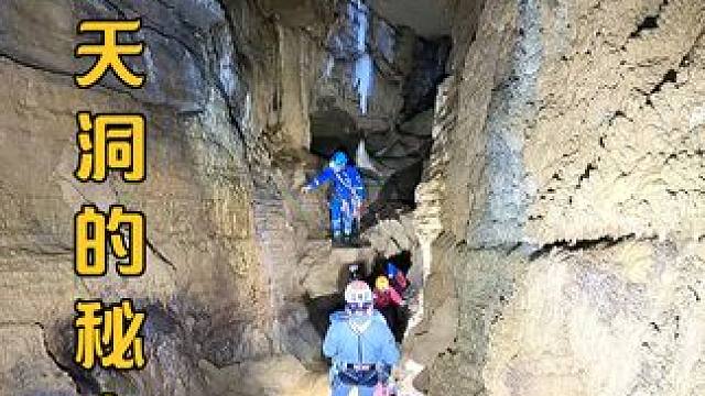 天坑之下暗藏玄机，未知生物坠入其中，坑底却发现了大量神秘果实，这是一个怎样的深坑，为何百米之下的望天