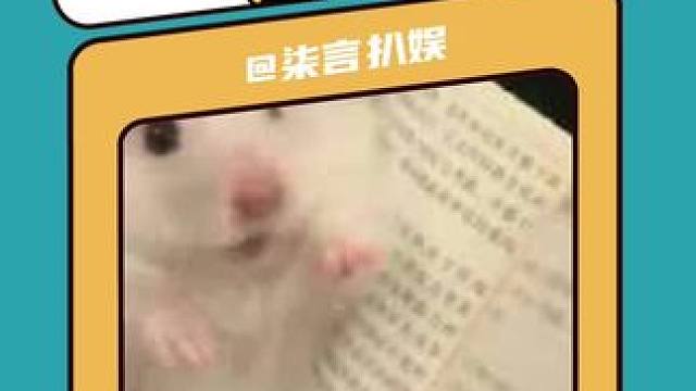 大师 我悟了#减肥小知识 #减脂 #万万没想到 #干货 #炸鸡