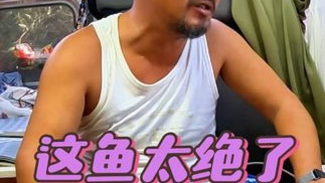 沙大厨在广西防城港做红烧鱼，没想到太绝了，下集#床车生活 #户外野餐