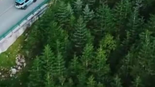 方程豹豹 8，安全与科技的璀璨结晶