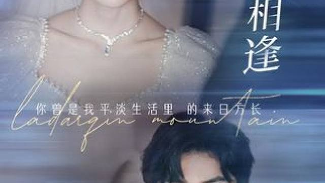 D1#从此山水不相逢