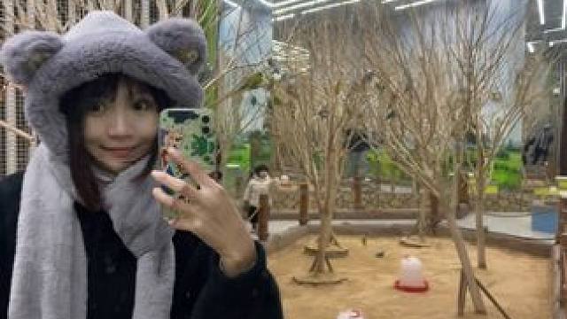 我发布了一个新视频，快来围观吧！