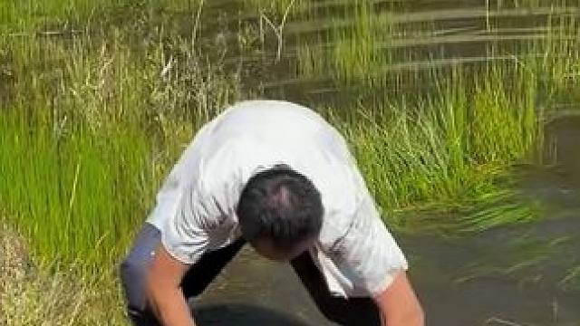 #户外捕鱼 #好大一条鱼