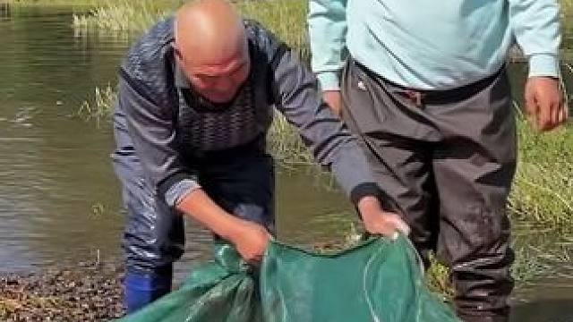 #户外捕鱼 #好多鱼