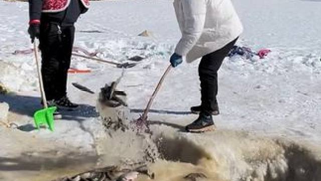 #户外捕鱼 #好多鱼